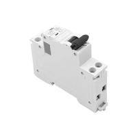 Interruttore automatico MCB 1P+N 6A 10A 16A 20A 25A 32A 40A 220V AC 6KA Curva C Curva B Guida DIN MCB 6KA