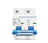 Interruttore automatico MCB 2P 125A 100A 80A DC 600V for sistema fotovoltaico, curva C, interruttore principale della batteria, 1 pezzo(125A)