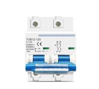 Interruttore automatico MCB 2P DC 600V 125A 100A 80A for sistema fotovoltaico, curva C, interruttore principale della batteria, 1 pezzo(125A)