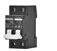 Interruttore automatico MCB 2P DC100V 150V 200V 250V 500V 1000V Tensione DC 16A 20A 25A 32A 40A 50A 63A Protezione della batteria del pannello solare(2P DC260-500V,50A)
