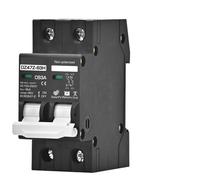 Interruttore automatico MCB 2P DC100V 150V 200V 250V 500V 1000V Tensione DC 16A 20A 25A 32A 40A 50A 63A Protezione della batteria del pannello solare(63A,2P DC100-250V)