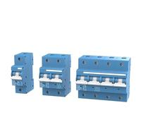 Interruttore automatico MCB DC 80A 100A 125A 1P 2P 4P 250V 550V 1000V for sistemi solari fotovoltaici Interruttore di protezione da sovraccarico(1P DC250V,125A)