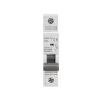 Interruttore automatico MCB DC 80A 100A 125A 6KA 1P 250VDC Mini interruttore automatico Din Rail Interruttori DC GYM9-125(100A)