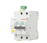 Interruttore automatico MCB Smart Life con telecomando, protezione da cortocircuito temporizzata 2P 16A 25A 32A 40A 63A EKR3