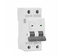 Interruttore automatico Mini interruttore automatico doppia fase GYM9 DP MCB Cureent di 80A 100A 125A 2P Larghezza 35,6 mm 400 V 6KA 1 Pz (Color : 100a, Size : 2 Pole C Curve)