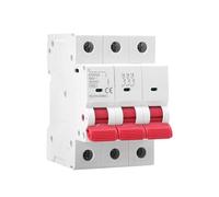 Interruttore automatico miniaturizzato da 4,5 kA con doppia sbarra collettrice(25A;3P;GYM10)