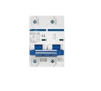 Interruttore automatico miniaturizzato fotovoltaico solare Interruttore automatico piccolo DC 1000V 2P100A500V interruttore di generazione di energia fotovoltaica(2P DC1000V,40A)