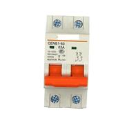 Interruttore automatico miniaturizzato, Mini interruttore automatico CC 120 V 63 A - Protezione batteria for auto con sgancio magnetico termico Montaggio su guida DIN Curva B(32a)