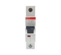 Interruttore automatico miniaturizzato S201 1A 2A 3A 4A tipo D(4A; 1P S201)
