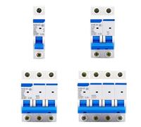 Interruttore automatico NXB-63 DZ30 DZ40 EPN DPN TPN 1P 2P 3P 4P AC 230/400V Montaggio su guida DIN Interruttore pneumatico domestico in miniatura(2P,32A)