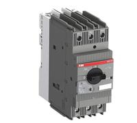 Interruttore automatico protezione motore MS165-16 MS165-20 MS165-25 MS165-32 MS165-42 MS165-54 MS165-65 MS165-73 MS165-80(62...73A)