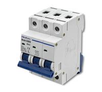 Interruttore automatico Qoltec B63 | Fusibile | CA | 63 A | 3P