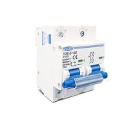 Interruttore automatico Relè 2P 100A 80A 125A DC MCB 600V Interruttore automatico for interruttore principale batteria impianto fotovoltaico (Size : 100A)