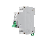 Interruttore automatico serie LB5-40F Air Switch 1PN tipo C piccolo elettrico(LB5-40f/16A-1PN)
