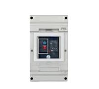 Interruttore automatico solare MCCB 2P DC con scatola di protezione, interruttore di protezione da sovraccarico da 125 A, 160 A, 180 A, 200 A, 250 A(250A)