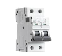 Interruttore automatico su guida DIN GYM9 a 2 poli tipo 230 V 6 A-63 A CA(60A)