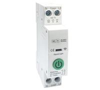 Interruttore automatico Tuya WiFi 63A 1P DIN Rail Energy Power Meter Interruttore di controllo remoto per Smart Home ((Type2) Breaker+Metering)