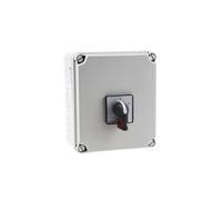 Interruttore bipolare 40A 18,5kW IP65 8609551