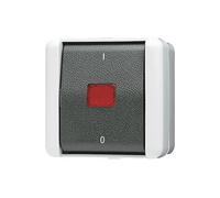 INTERRUTTORE BIPOLARE CON CONTROLLO A LEVA JUNG Interruttore bipolare con controllo a leva, 250 V