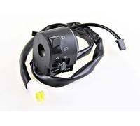 INTERRUTTORE COMBINATO SINISTRO BENELLI LEONCINO 500, 40500P160005 OEM