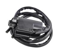Interruttore D’Allumage Per YZF1000R Per Thunder Per Ace 1996-2001 | Bobine CDI 12V Bobina Accensione Moto Per YZF750R 1993-1998 YZF600R Cat 1996-2007