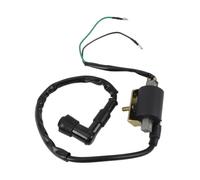 Interruttore D’Allumage Universale Per 50cc 70cc 90cc 110cc 125cc | Bobina Accensione A 2 Fili 6V Moto Scooter Ciclomotore ATV Quad Pit Bike Go Kart
