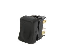 Interruttore dei fendinebbia DT Spare Parts 1.21154