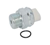 Interruttore Del Faro Di Retromarcia