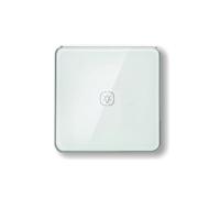 Interruttore della luce Zigbee con telaio in alluminio Interruttore touch in vetro Funziona a 2 vie