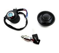 Interruttore di accensione per Sportster XL883 per Super per Low per Custom 1995-2000 2001 2002 2003 Kit Serratura Chiave Argento Interruttore di accensione Moto Serrature Tappo Benzina