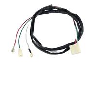 Interruttore di avviamento e cavo chiave da 120 cm+ adatto for avviamento a barra del generatore L100 L70 L48 da 3 kW e 5 kW.(CABLE ONLY)