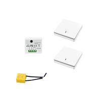 Interruttore di controllo remoto della luce 433 MHz 110 V 220 V supporta modulo di controllo a 2 vie adatto for controller LED for luce elettrica dimmer LED(1 switch 2 W)