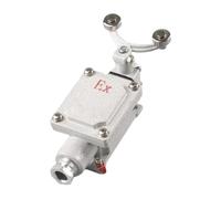 Interruttore di corsa antideflagrante limite industriale pedale singolo doppio pedale autoripristinante