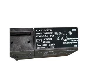 Interruttore di interblocco di sicurezza 170-02ZRK Interruttore di interblocco 24VAC/DC Elettroserratura serratura porta