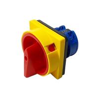 Interruttore di isolamento unipolare a quattro terminali Off-ON da 25 A LW26GS a camme rotante con lucchetto 48x48 mm e 64x64(48X48mm Small)