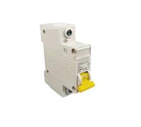Interruttore di Protezione da Perdita Interruttore automatico MCB 1P DC 250V con fusibile unipolare a corrente continua curva C for fotovoltaico(1P 50A)