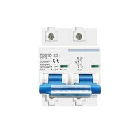 Interruttore di Protezione da Perdita Interruttore automatico MCB 2P DC 600V 125A 100A 80A for fotovoltaico, curva C, interruttore principale della batteria(125A)