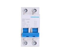 Interruttore di protezione dell'interruttore automatico DC 2P pneumatico 3A-125A 12V-125V per del circuito della batteria tram fotovoltaico(50A)