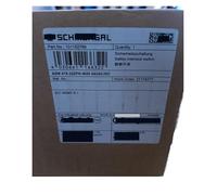 Interruttore di sicurezza 101152789 415-22ZPK-M20 Interruttore di interblocco 24 V CA/CC