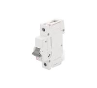 Interruttore di sovracorrente, 230/400VAC ETIMAT P10 1P B32