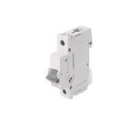Interruttore di sovracorrente, 230/400VAC ETIMAT P10 1P C50