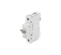 Interruttore di sovracorrente, 230/400VAC ETIMAT P10 1P C6