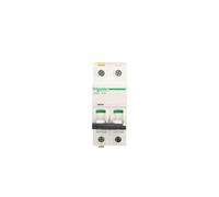 Interruttore di sovracorrente 2P D 2A 6kA AC iC60N-D2-2 A9F05202