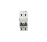 Interruttore di sovracorrente 2P D 2A 6kA AC S302 S300 403731