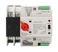 Interruttore di trasferimento automatico Dual Power 2P Flame Retardant Power Transfer Interruttore per il generatore AC220V (63a)