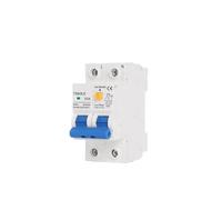Interruttore differenziale 230V 2P MCB 30mA Protezione da sovraccarico, cortocircuito, dispersione di corrente Protezione RCBO RCCB RCD 16A 32A 63A(10A)