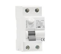 Interruttore differenziale differenziale tipo GYL9 A AC ELCB 2 poli 40A 63A 30mA 100mA 300mA RCD ELCB(2P 40A,300mA)