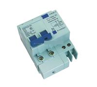 Interruttore differenziale DZ47LE 2P 10A 230V~ 50HZ/60HZ con protezione da sovracorrente e perdite, 1 pezzo