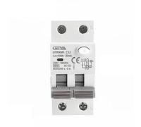 Interruttore differenziale elettromagnetico tipo CA GYR9NM 2P 1P+N 40A 6KA RCBO con sovracorrente(2P 25A,30mA)