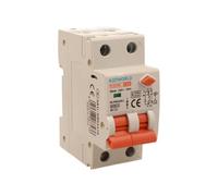 RCBO Doppia Leva, Interruttore Magnetotermico Differenziale Tipo AC Curva C 1P+N